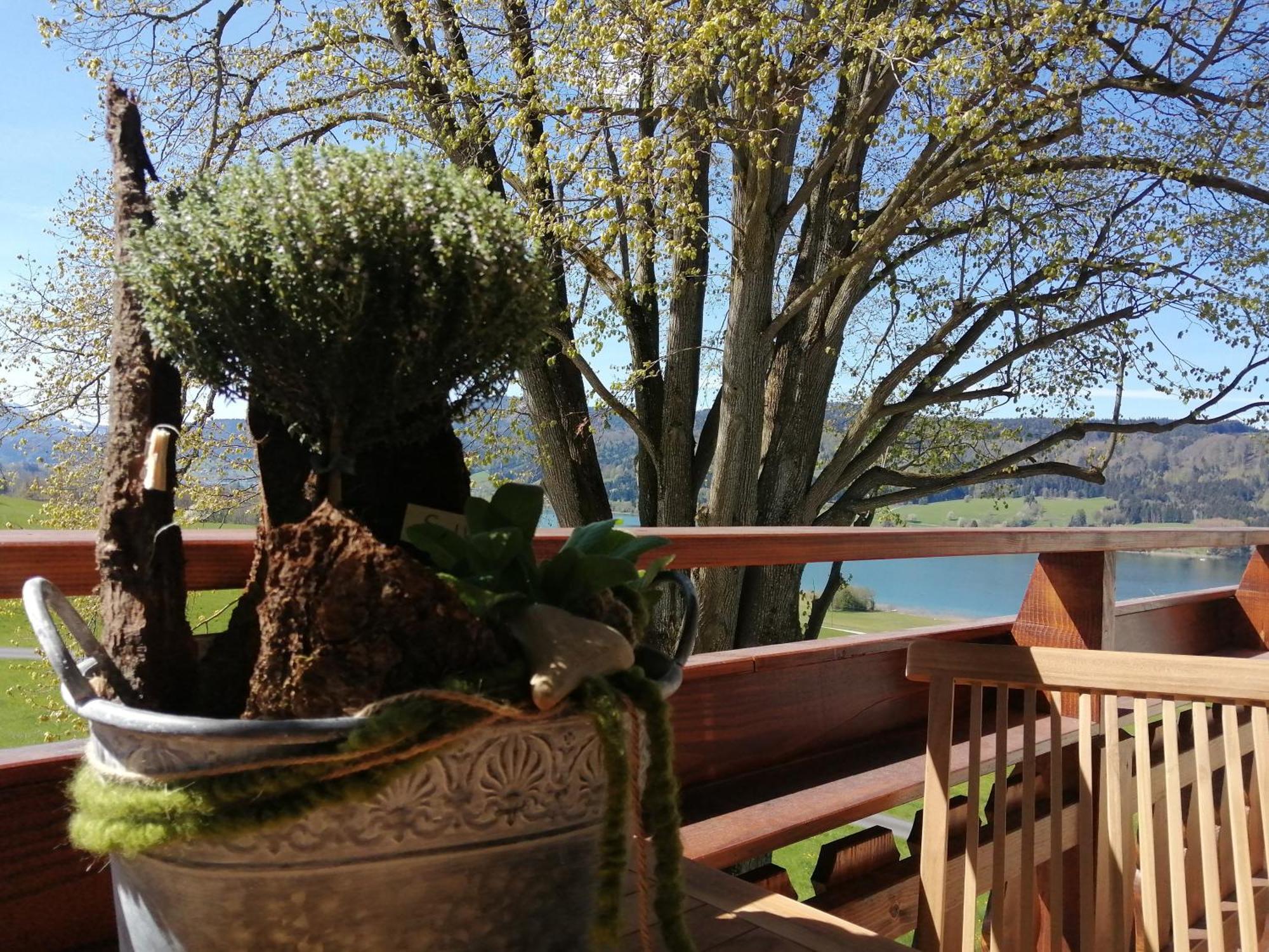 Roiderhof Irrsee Oberhofen am Irrsee Exterior foto