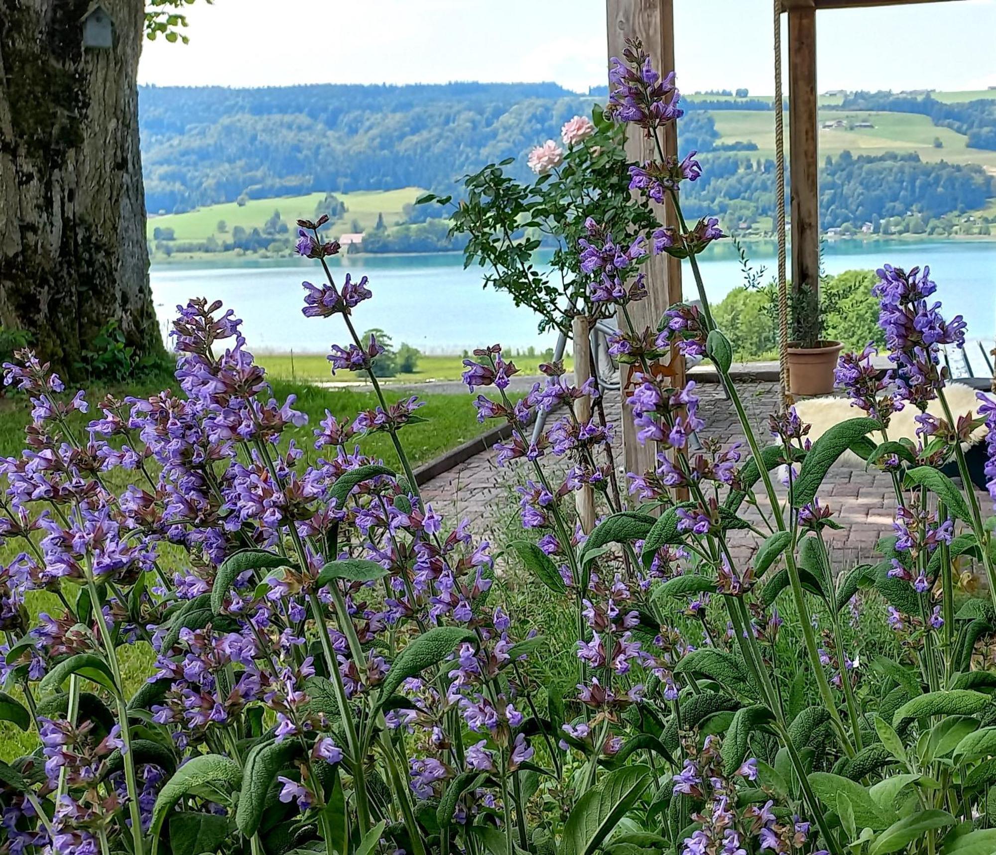 Roiderhof Irrsee Oberhofen am Irrsee Exterior foto